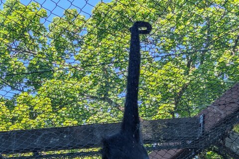 Zoo_2025 (13)