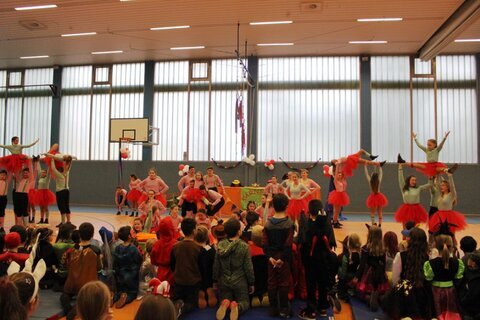 Karneval 2020 (1)