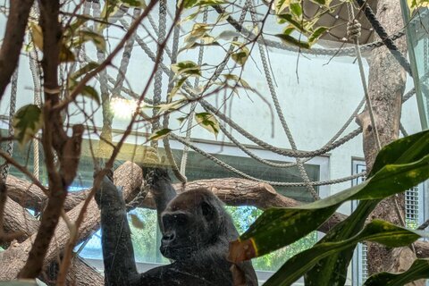 Zoo_2025 (14)