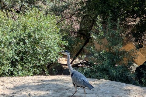 Zoo_2025 (9)