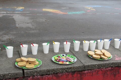 Picknick 1b 2021(1)