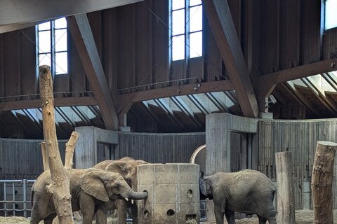 Zoo_2025 (15)