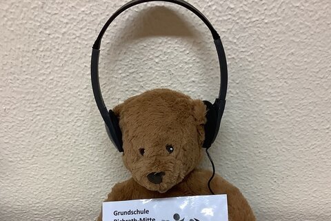Kopfhörer (12)