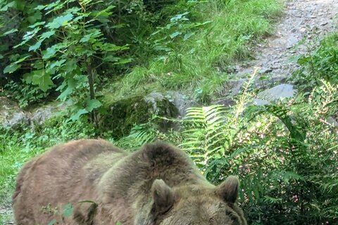 Zoo_2025 (1)
