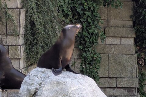 Zoo_2025 (10)