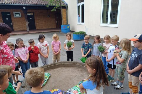 Schulhofverschönerung_25 (5)