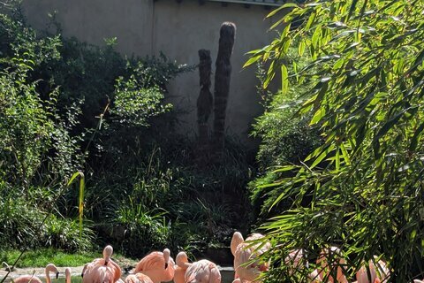 Zoo_2025 (11)