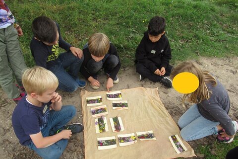 Landschaftspark 2021 (11)