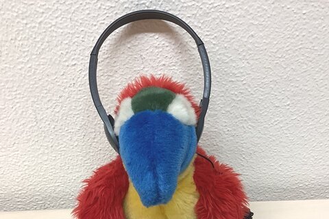 Kopfhörer (1)