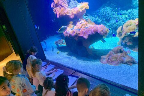 Aquazoo_1a_24 (2)