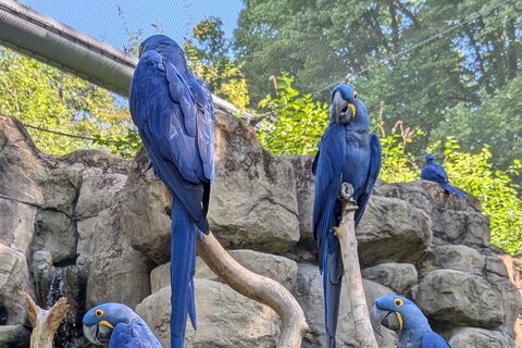Zoo_2025 (12)