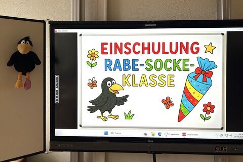 1b Rabe Socke 2025