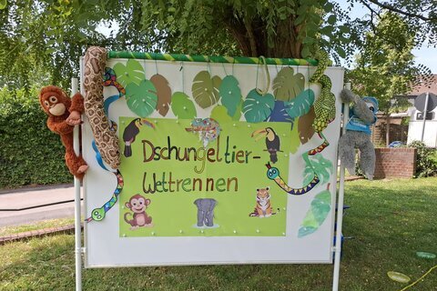 Dschungelfest_25 (6)