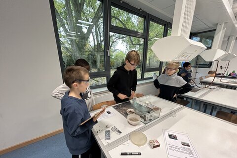 Weiterführende Schule 24 (8)